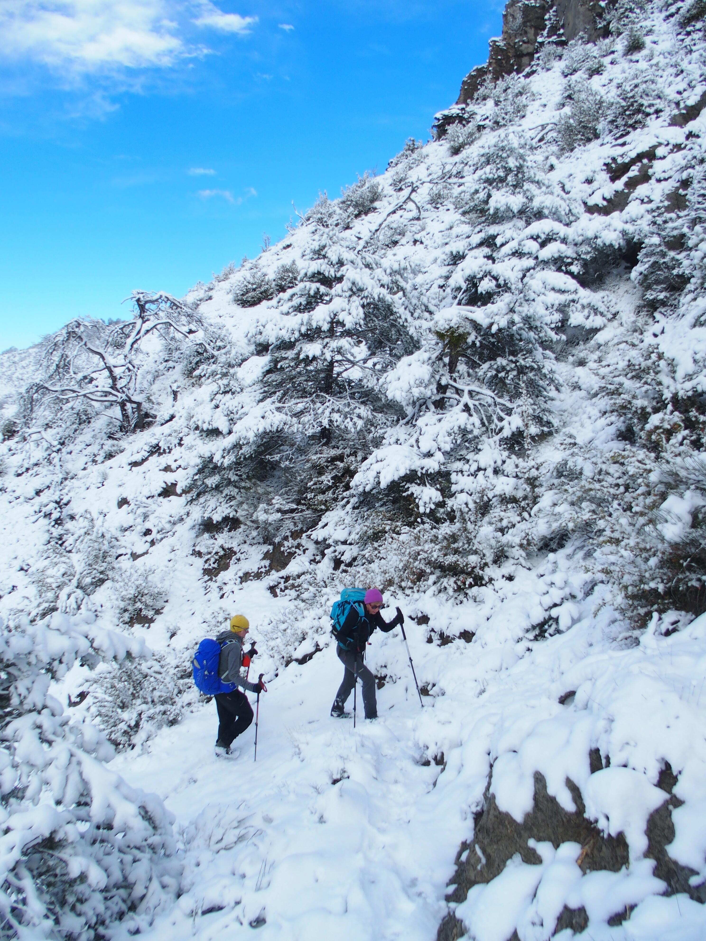 mont alpin en 4 lettres